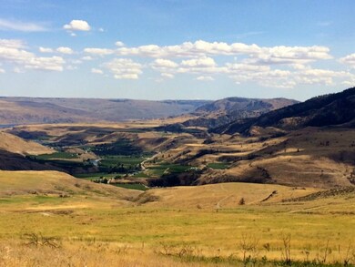 45 Lot 45 Methow River Ranch Rd, Methow, WA 98814 - photo 6