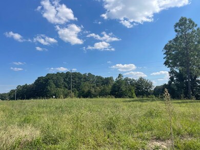 536 Lundy Rd, Sylvester, GA 31791 - photo 7