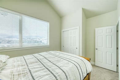 Bedroom with a closet, carpet floors, lofted ceili