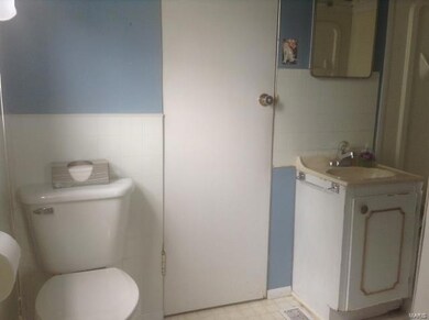 310 S State St, Freeburg, IL 62243 - photo 7