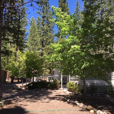 58411 Cedar Ln, Cromberg, CA 96103 - photo 5