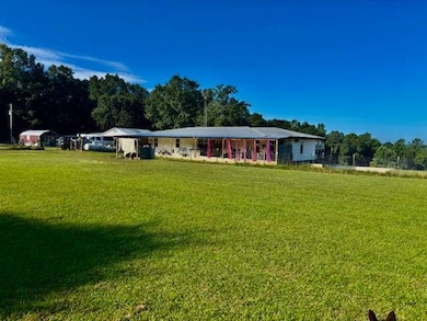 36015 Good Hope Rd, Dozier, AL 36028 - photo 3