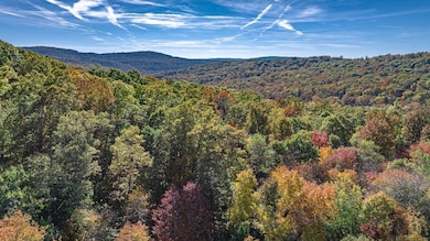 14159 Low Gap Wc 100 Rd, West Fork, AR 72774 - photo 5