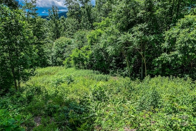 TBD Kestrel Ln unit T-75, Black Mountain, NC 28711 - photo 6