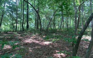 Additional View