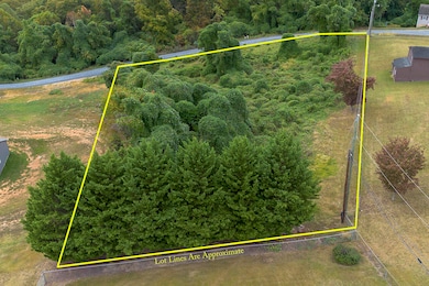 .785 acres Cresthill Dr, Lexington, VA 24450 - photo 5