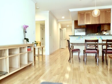 2-14 Saint Paul St unit 206, Brookline, MA 02446 - photo 5
