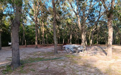 Back Yard 3.07 acre