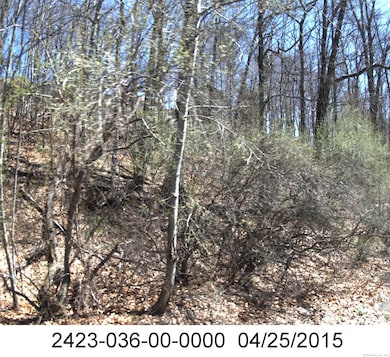 71 Dunbar Hill Rd, Hamden, CT 06514 - photo 4