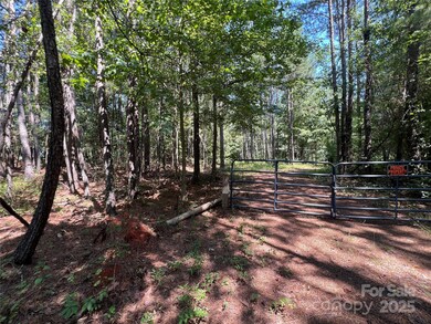 0 Hollis Rd unit CAR4278449, Ellenboro, NC 28040 - photo 2