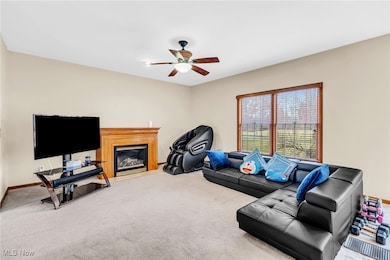 2328 Twin Leaf Ct, Ashland, OH 44805 - photo 5