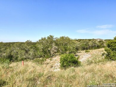 8418 Terra Mont Way, San Antonio, TX 78255 - photo 6