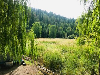 Bordering Wetlands