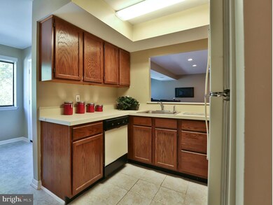 8009 Greenspring Way unit E, Owings Mills, MD 21117 - photo 3