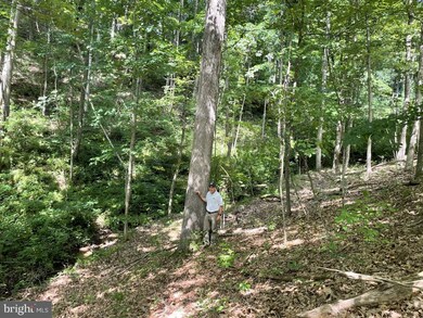 0 Mill Hill Rd, Warfordsburg, PA 17267 - photo 4