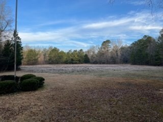 12100 County Line Rd, Midland, GA 31820 - photo 6