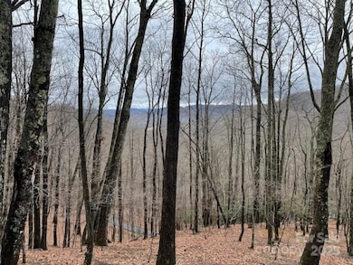 12 Hickory Springs Rd unit 12, Burnsville, NC 28714 - photo 2