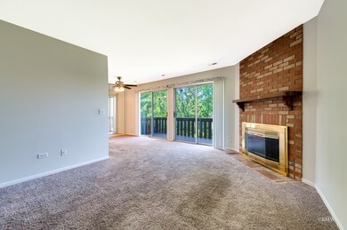 310 Newport Ln unit C2, Bartlett, IL 60103 - photo 4