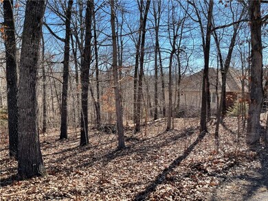 0 Campbell Ln, Bella Vista, AR 72715 - photo 4