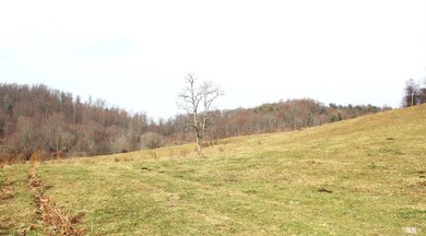 793 Coffeytown Rd, Vesuvius, VA 24483 - photo 5