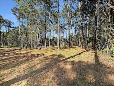 Lot 2 Hwy 16 None, Franklinton, LA 70438 - photo 5