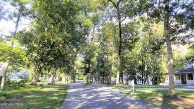 Forest Drive with its Tree Canopy (2)