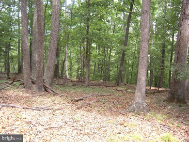 46 ACRES Nettle Ln, Gainesboro, VA 22603 - photo 5