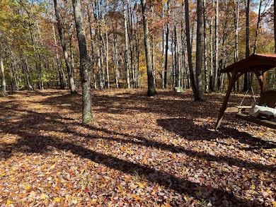 230 Market Ln, Gainesboro, TN 38562 - photo 5