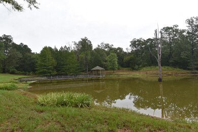 Pond