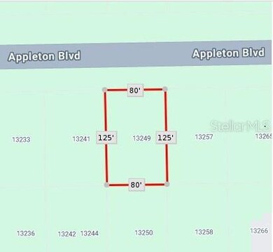 13249 Appleton Blvd, South Gulf Cove, FL 33981 - photo 3