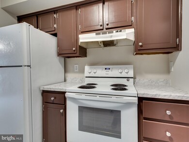 3923 Sonora Place unit D, Alexandria, VA 22309 - photo 5