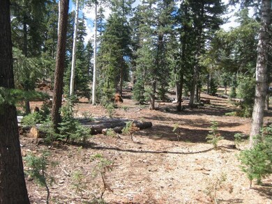 Open Area