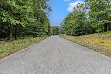 Lot 15 Pine Ave, Silver Lake, MI 49436 - photo 7