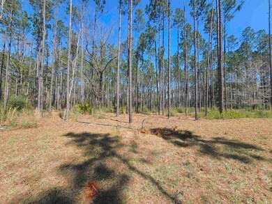 000 Hidden Horse Way, Tallahassee, FL 32305 - photo 7