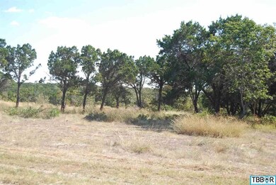 5057 Comanche Rd, Temple, TX 76502 - photo 3