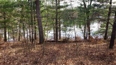 0 68th St unit 19019284, Idlewild, MI 49642 - photo 4