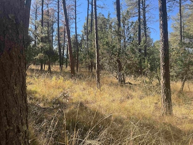 0 Dixwood Dr unit 171905, Timberon, NM 88350 - photo 7