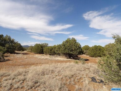 116xx E Highway 180 E unit xx XYZ Rd., Silver City, NM 88061 - photo 4