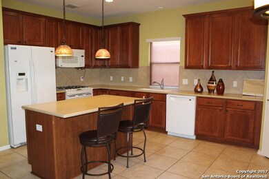 25627 Wentink Ave, San Antonio, TX 78261 - photo 7