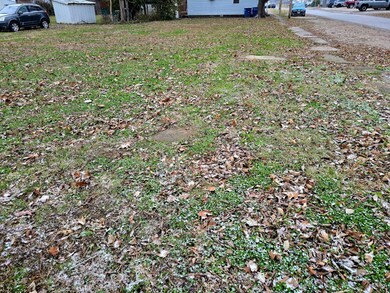 502 W Chestnut St, Olney, IL 62450 - photo 6