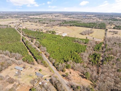 Lot 1 Fm 556, Pittsburg, TX 75686 - photo 7