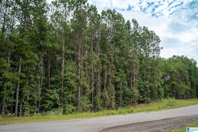 220 Boathouse Cir unit 220, Fayetteville, AL 35151 - photo 6