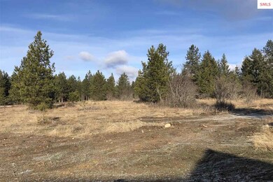 . . . of mature trees and open spaces