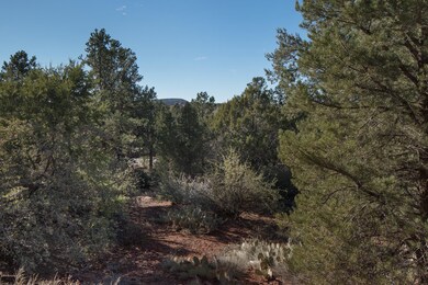 Mature Landscape
