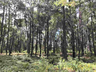 0 Casseaux Rd unit 296333, Crawfordville, FL 32327 - photo 4