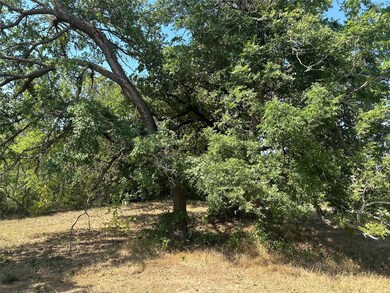 TBD County Road 4599, Boyd, TX 76023 - photo 4