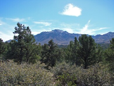 View from Build Envelope