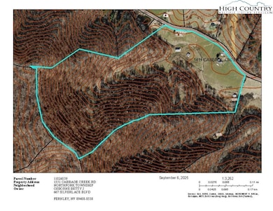 1411 Cabbage Creek Rd, Creston, NC 28615 - photo 4