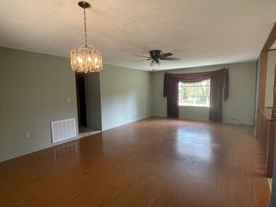 169 Carl Cloud Rd, Climax, GA 39834 - photo 5