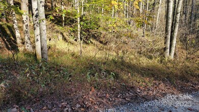 000 Cabin Hill Rd, Green Mountain, NC 28740 - photo 5